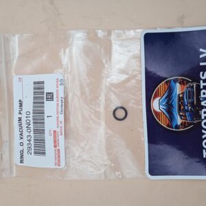 RING, O VACUUM PUMP