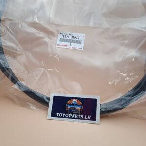 MOLDING 75573-60030