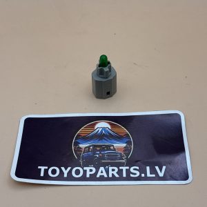 9001001022 BULB W CAP