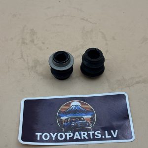 Boot Dust